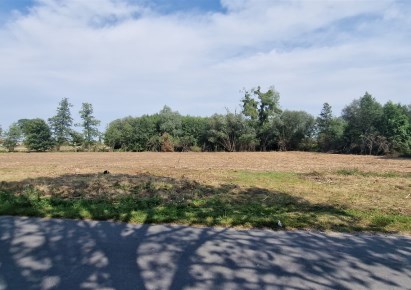 parcel for sale - Dragacz