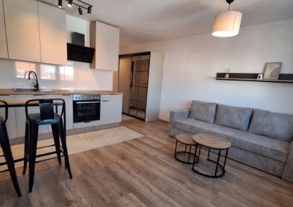 mieszkanie na wynajem - Chełmno