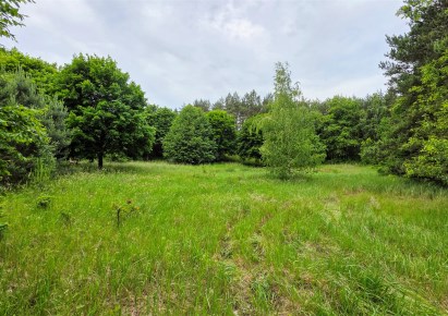 parcel for sale - Płużnica, Wiewiórki