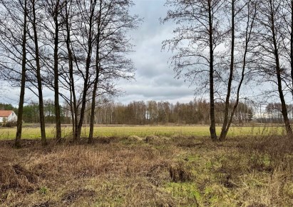 parcel for sale - Dragacz, Dolna Grupa