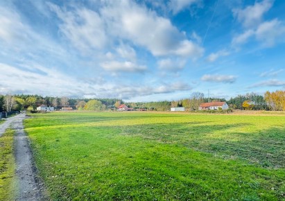 działka na sprzedaż - Dragacz, Dolna Grupa