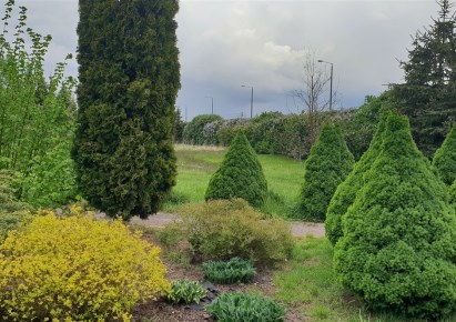 parcel for sale - Grudziądz, Owczarki