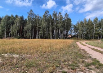 działka na sprzedaż - Grudziądz (gw), Lisie Kąty