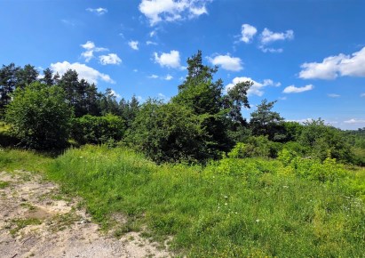 działka na sprzedaż - Gruta, Dąbrówka Królewska