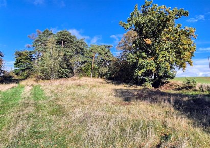 działka na sprzedaż - Nowe, Bochlin